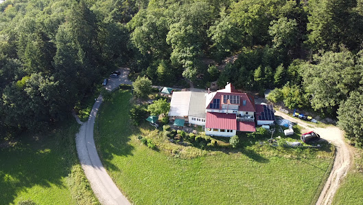 Waldrestaurant Zähringer Burg - Freiburg im Breisgau – Bild 7