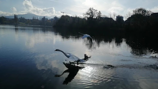 Lago - Freiburg im Breisgau – Bild 4