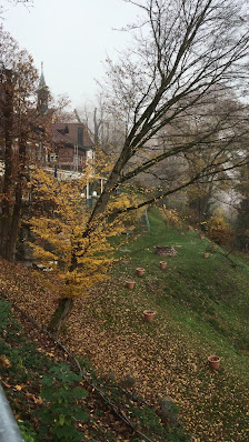 Schloss-Café Freiburg – Bild 4